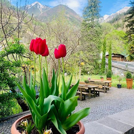 Tannerhof Bed & Breakfast Caines Exterior foto