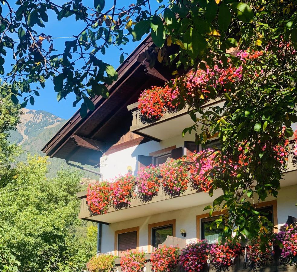 Tannerhof Bed & Breakfast Caines Exterior foto